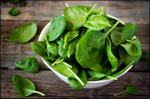 Food for Thought - Spinach | rashon