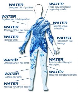 A Practical Guide to Wellness: Objective #1 - Drink More Water - Rashon